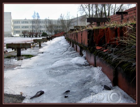 Cactingučie (Sastingšie)