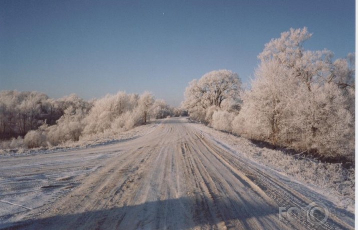 Balts ziemas rīts III