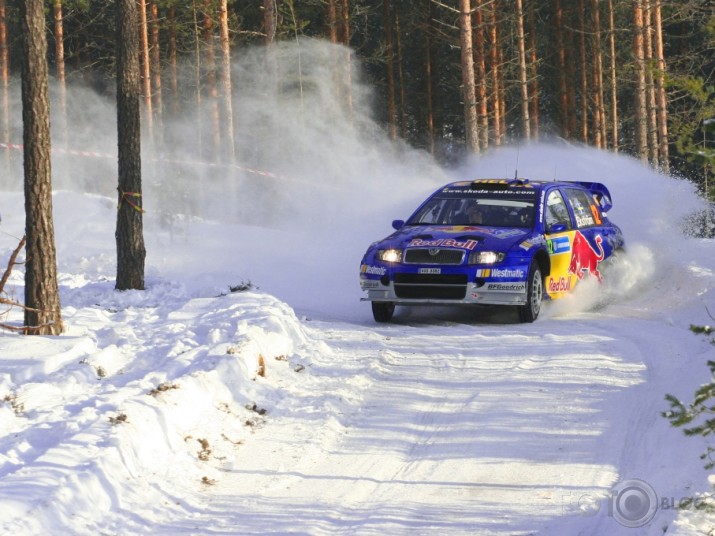 WRC Sweden 2006