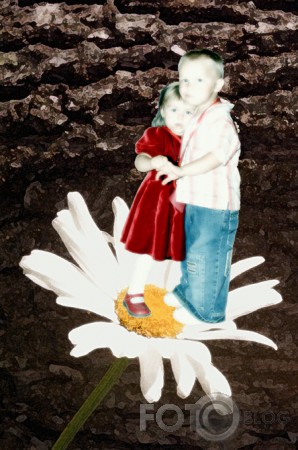 Cita pasaule.