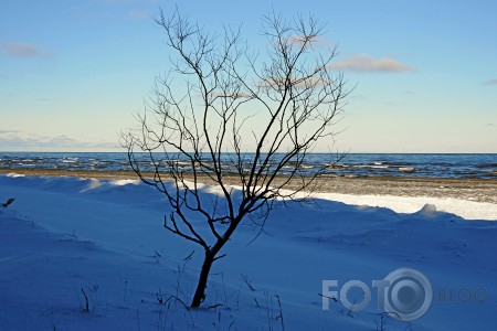 Vientulība stindzina, bet  varbūt ne...