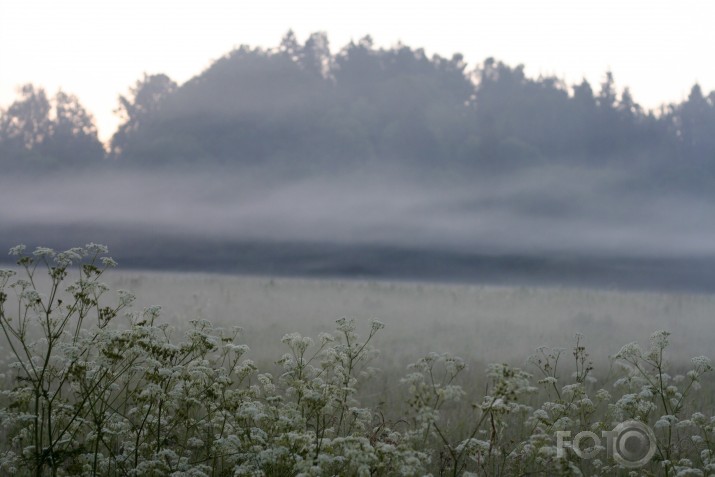 Slāņi