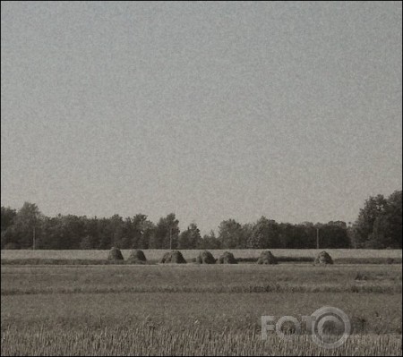 Cilvēki mainās.... varbūt.