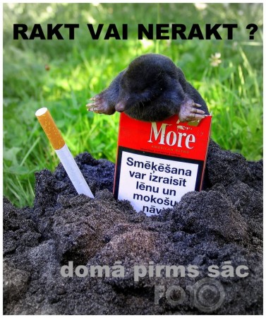 domā