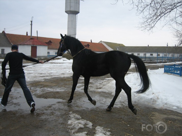 zirdziņi