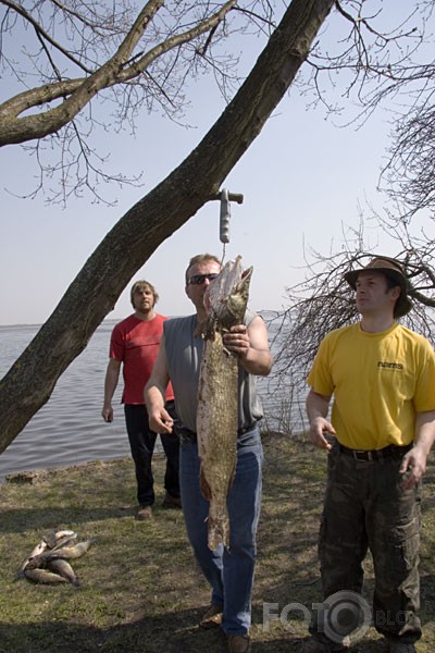 Liepāja "Straume"