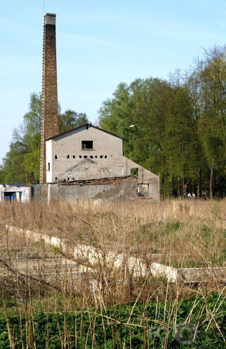 Kamēr saimnieks guļ.