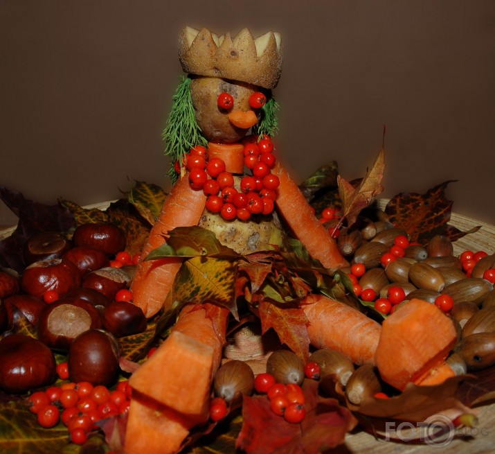 Rudens MODELE