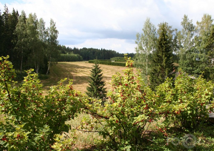 Ideja nelielai atpūtai pie dabas  Kubisele