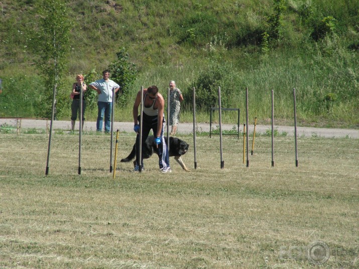 Suņu sacenes - Talsu zvaigzne :)