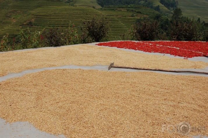 Rīsi, pipari un rīsi