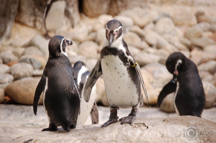 Barcelona ZOO