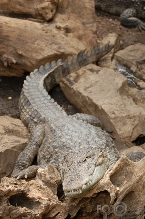 Barcelona ZOO