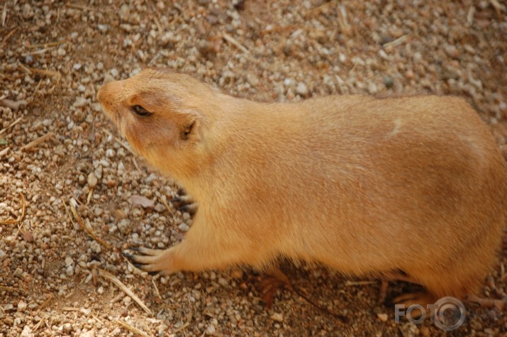 Barcelona ZOO