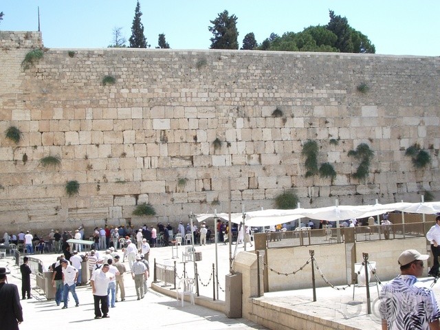 THE WALL
