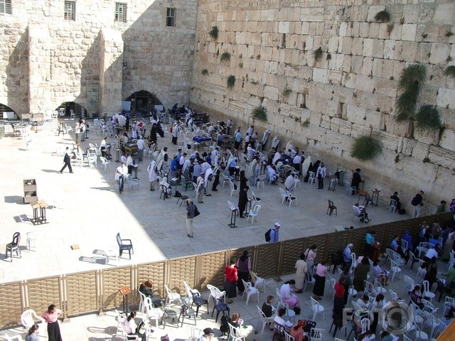 THE WALL
