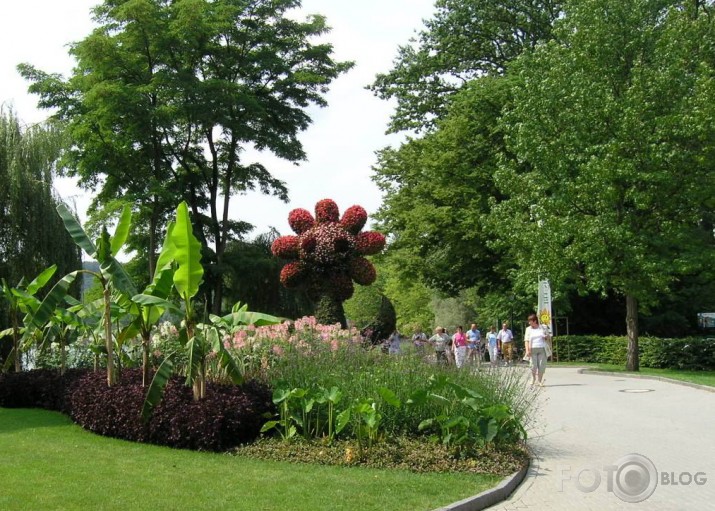 Puķu sala Mainau