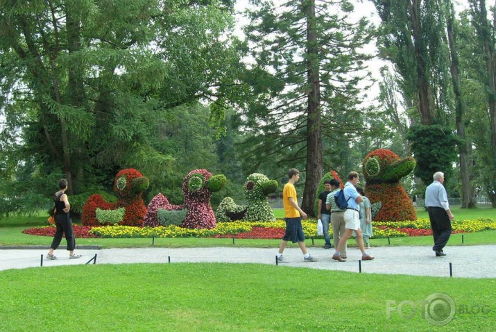 Puķu sala Mainau