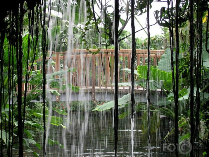 Puķu sala Mainau