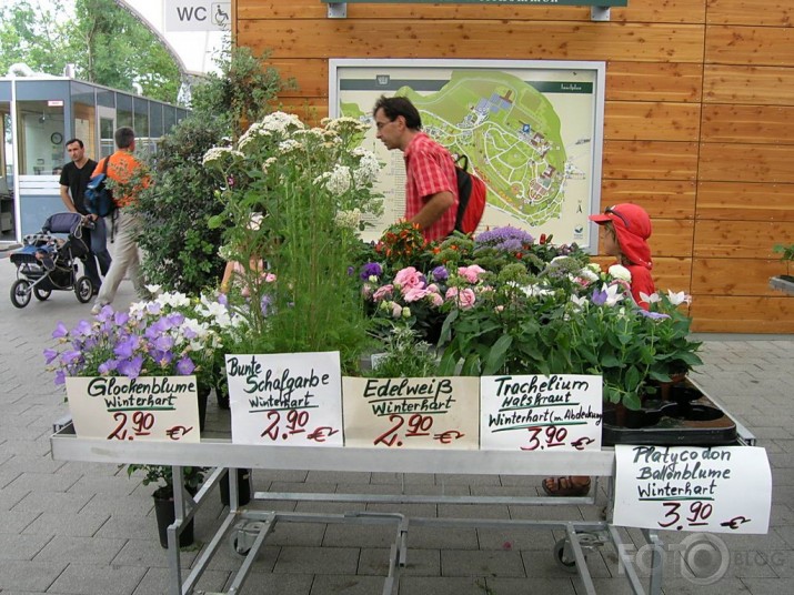 Puķu sala Mainau