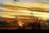 Goldenmood