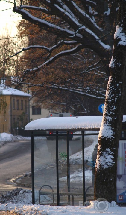 Svētdiena Arkādijā. Pīļu prieki.