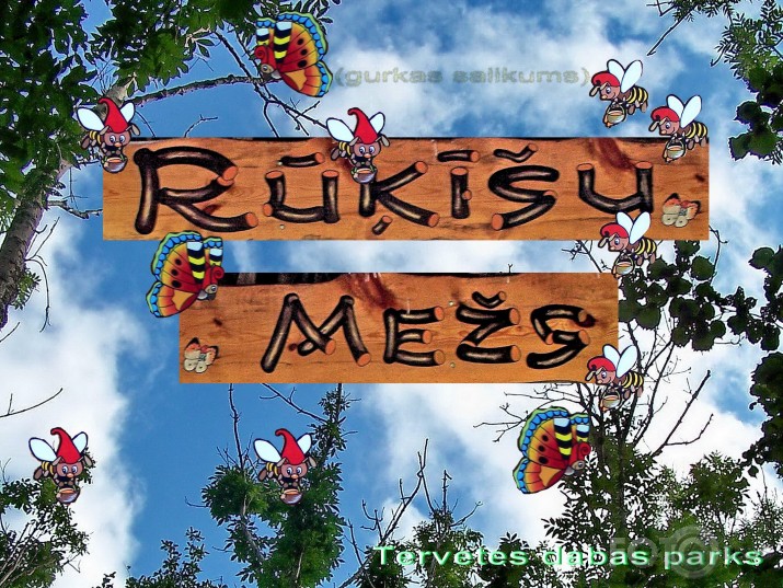 Rūķīšu mežs (I daļa)