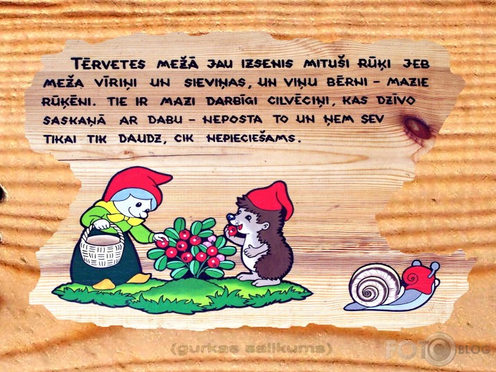 Rūķīšu mežs (I daļa)