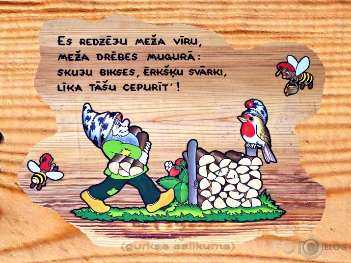 Rūķīšu mežs (I daļa)