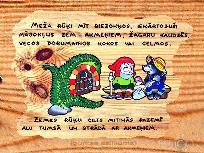 Rūķīšu mežs (I daļa)