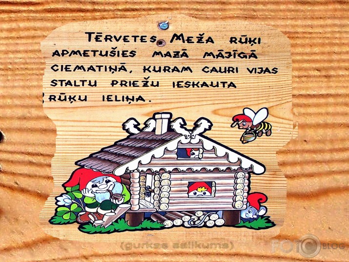 Rūķīšu mežs (I daļa)