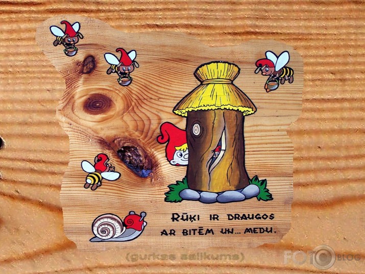 Rūķīšu mežs (I daļa)