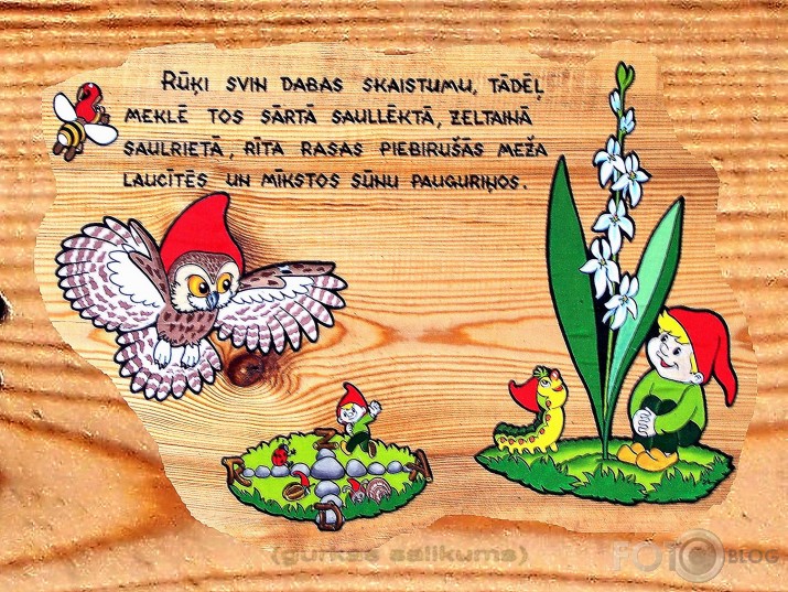 Rūķīšu mežs (I daļa)