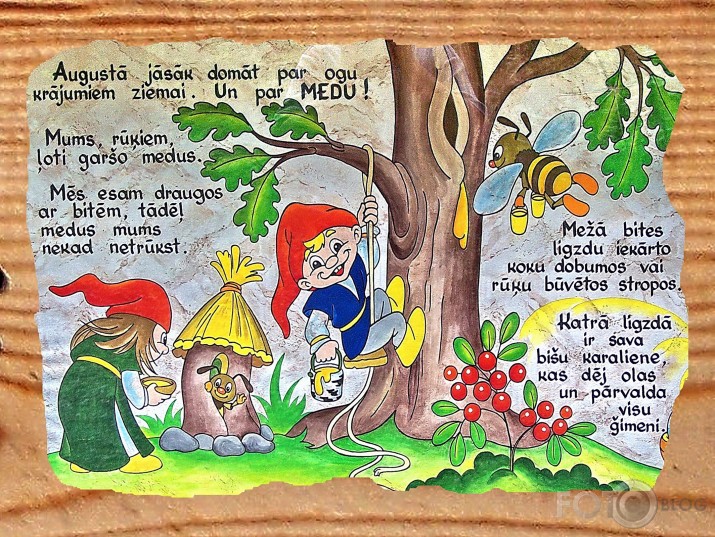 Rūķīšu mežs (I daļa)