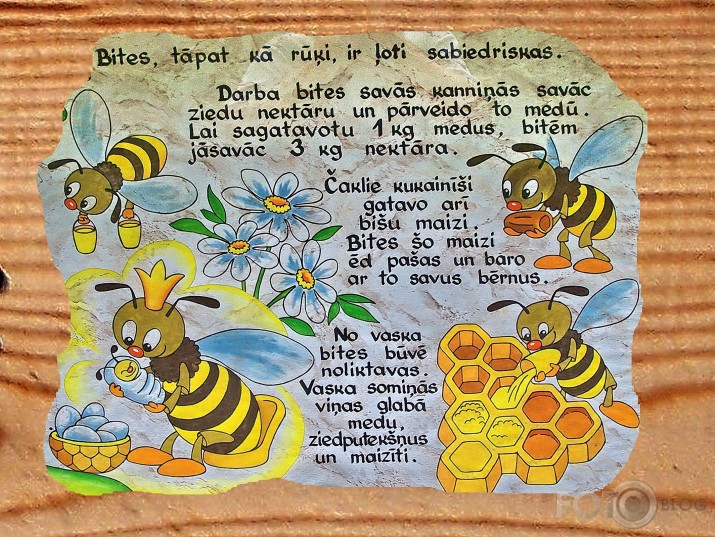 Rūķīšu mežs (I daļa)