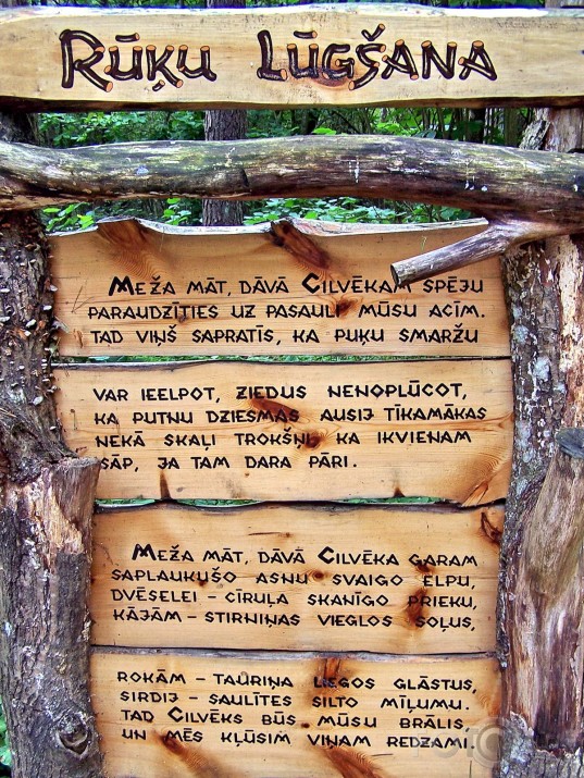 Rūķīšu mežs (I daļa)