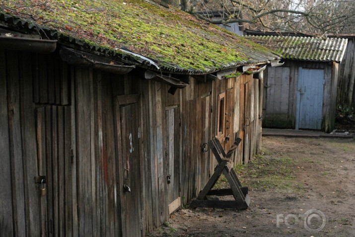 Kundziņsalas noskaņās 1