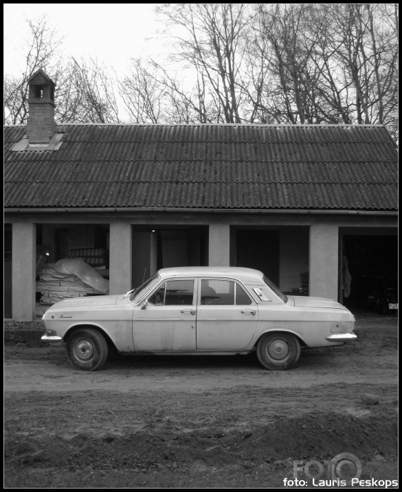 1973. gada volga