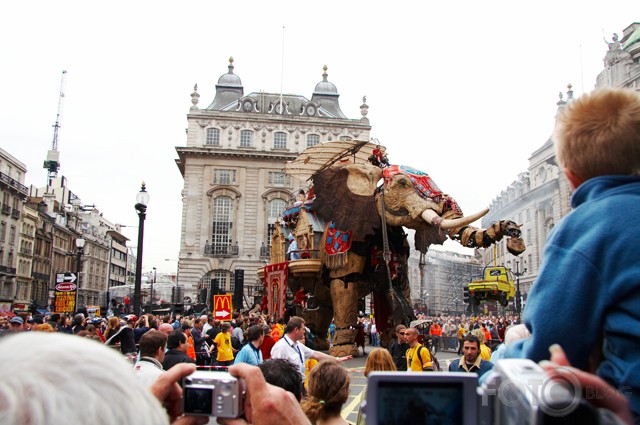 London Elephant