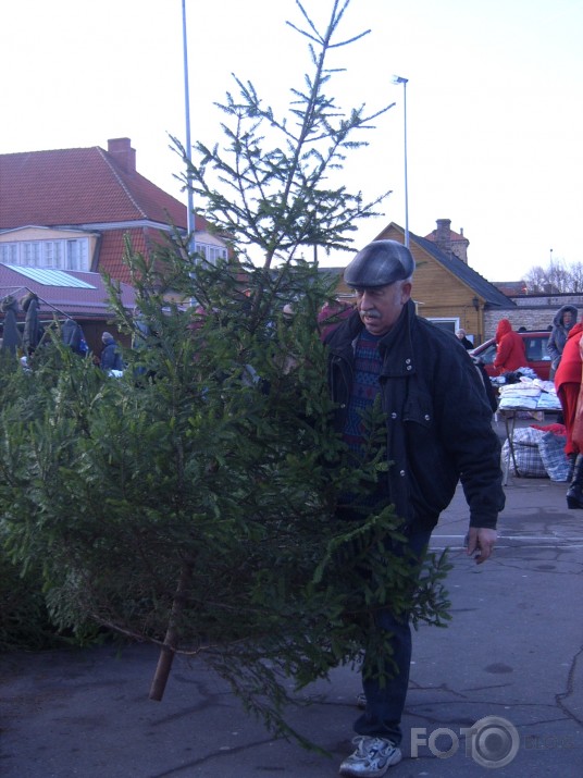 eglītes meklēšanas gaitās...