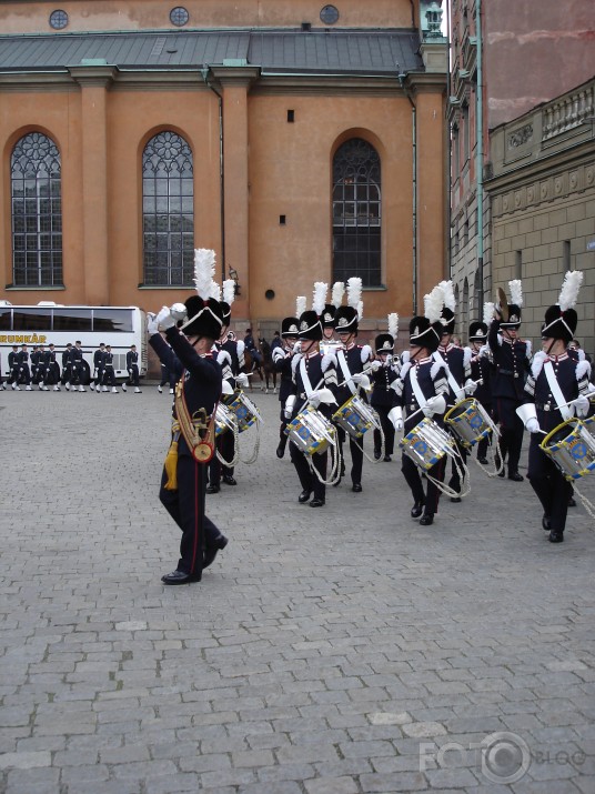 Sardzes maiņa Zviedrijā