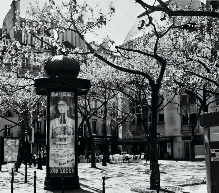 Sievietes prāta anatomija