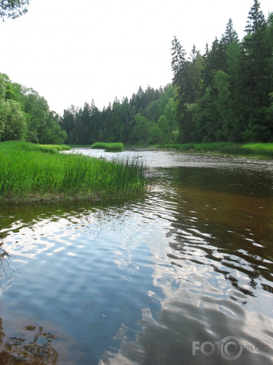 gar Ogri