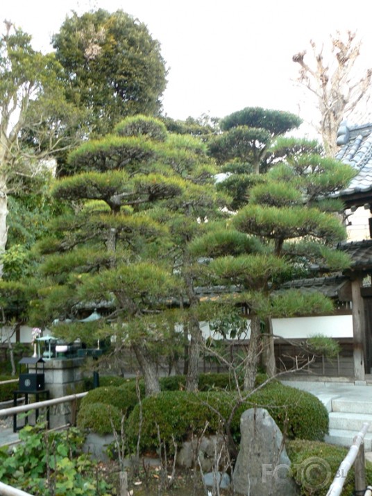 Japāna