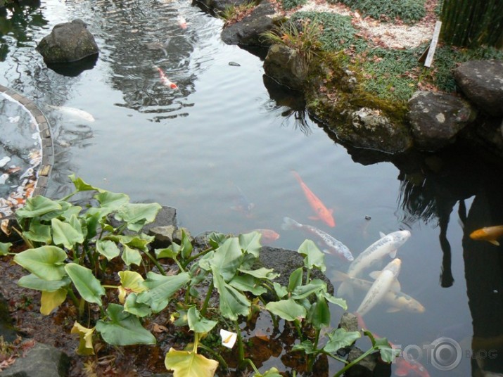 Japāna