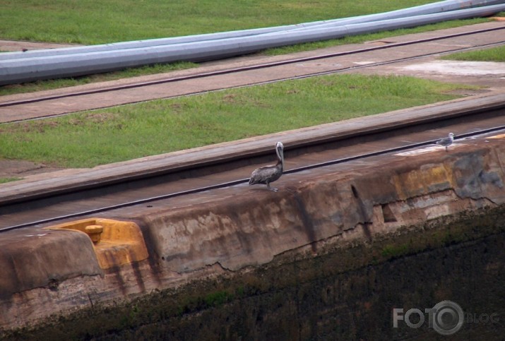 Panama Canal 2