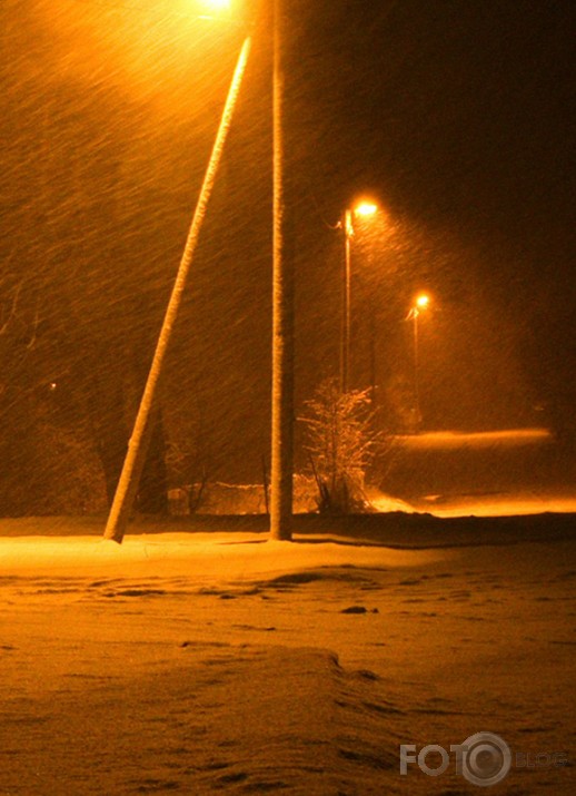 sniegs, putenis un fotografs