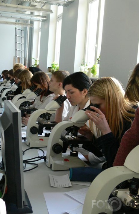 Valsts Bioloģijas olimpiāde