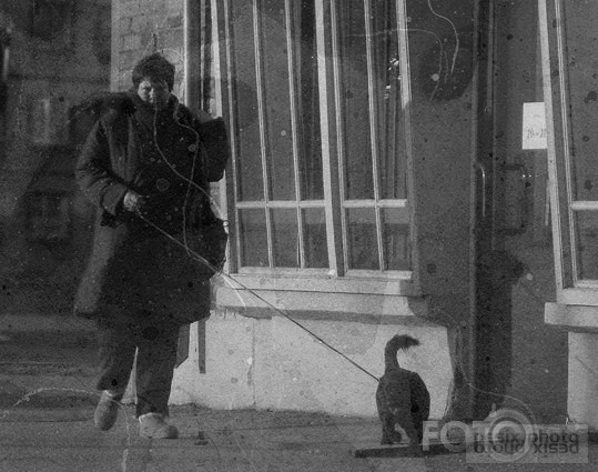 ikdienas steiga 1