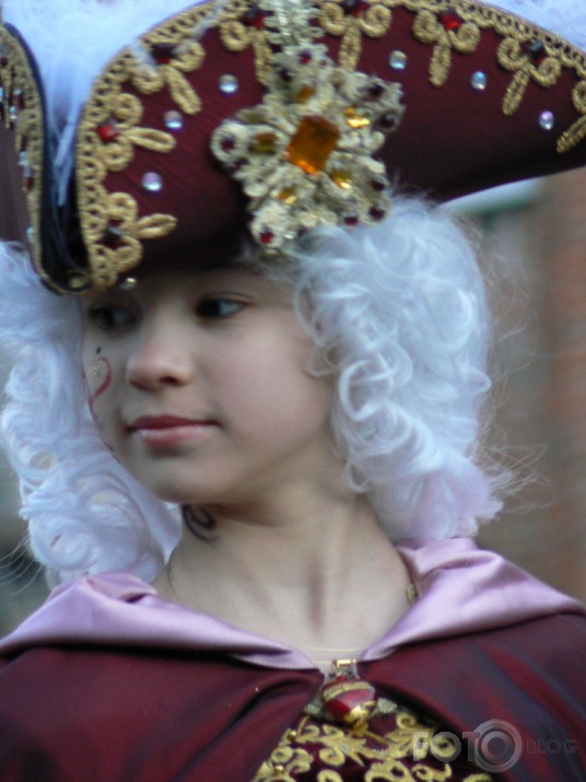 Carnevale Di Venezia